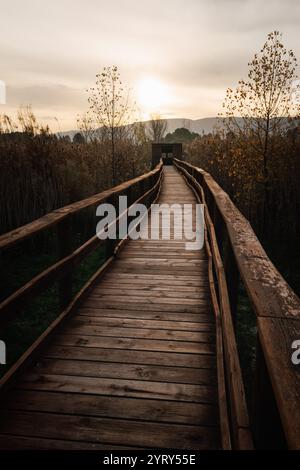 Holzsteg führt zum Wasservögel-Observatorium in der Lagune von Gayanes, Spanien Stockfoto