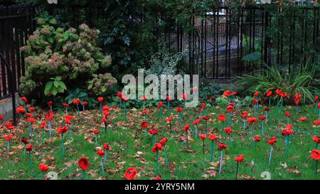 Romsey, Southampton, England. November 2024. Eine kleine Rasenfläche mit künstlichem Mohn. Stockfoto