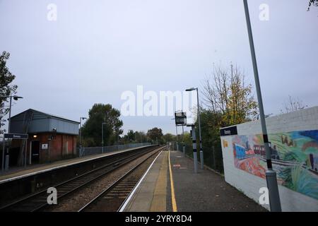 Romsey, Southampton, England. November 2024. Blick auf die beiden Bahnsteige und das Gleis, das durch den Bahnhof verläuft. Stockfoto