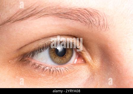 Extreme Nahaufnahme eines wunderschönen Haselnussauges mit langen Wimpern, das seine komplizierten Details zeigt Stockfoto