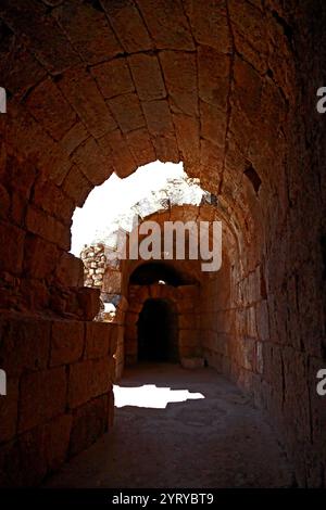 Ruinen des römischen Amphitheaters, Bayt Jibrin (Beit Guvrin), Israel. Im 8. Jahrhundert v. Chr. war das Dorf Teil des Königreichs Juda. Nach den Wirren des ersten jüdisch-römischen Krieges und dem Aufstand in Bar Kokhba wurde die Stadt unter dem Namen Eleutheropolis zu einer blühenden römischen Kolonie und einem wichtigen Verwaltungszentrum. Das Gelände wurde 1863 von Victor Guerin ausgegraben. Stockfoto