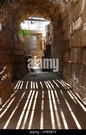 Ruinen des römischen Amphitheaters, Bayt Jibrin (Beit Guvrin), Israel. Im 8. Jahrhundert v. Chr. war das Dorf Teil des Königreichs Juda. Nach den Wirren des ersten jüdisch-römischen Krieges und dem Aufstand in Bar Kokhba wurde die Stadt unter dem Namen Eleutheropolis zu einer blühenden römischen Kolonie und einem wichtigen Verwaltungszentrum. Das Gelände wurde 1863 von Victor Guerin ausgegraben. Stockfoto