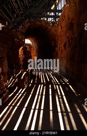 Ruinen des römischen Amphitheaters, Bayt Jibrin (Beit Guvrin), Israel. Im 8. Jahrhundert v. Chr. war das Dorf Teil des Königreichs Juda. Nach den Wirren des ersten jüdisch-römischen Krieges und dem Aufstand in Bar Kokhba wurde die Stadt unter dem Namen Eleutheropolis zu einer blühenden römischen Kolonie und einem wichtigen Verwaltungszentrum. Das Gelände wurde 1863 von Victor Guerin ausgegraben. Stockfoto