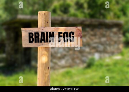 Hirnnebelbotschaft auf hölzernem Schild mit verschwommenem Naturhintergrund. Konzeptionelles Hirnnebelsymbol. Kopierbereich. Stockfoto