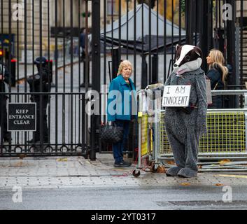 London, Großbritannien. Am 5. Dezember wurden 2024 230.000 Dachse – die Hälfte der geschätzten Population – seit 2012 bei einem gescheiterten Versuch getötet, die TB von Rindern bei Nutzkühen zu bekämpfen. Schützen Sie die verbliebene Wilddachs-Population, bevor es zu spät ist. Wildlife- und Naturaktivisten beschuldigten die Labour-Regierung eines „riesigen Verrats“ wegen ihrer Pläne, die Tötung von Dachsen in England fortzusetzen. Credit: Richard Lincoln/Alamy Live News Stockfoto