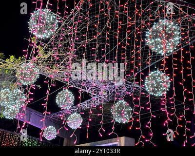 Johnsonville Night Lights in the Garden, veranstaltet im Naples Botanical Garden in Naples, Florida, Mittwoch, 4. Dezember 2024. Quelle: Jennifer Graylock/Alamy Live News Stockfoto