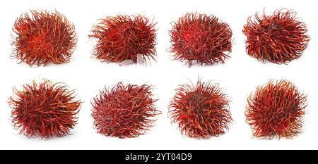 Frische ungeschälte Rambutan-Früchte isoliert auf weiß, Set Stockfoto