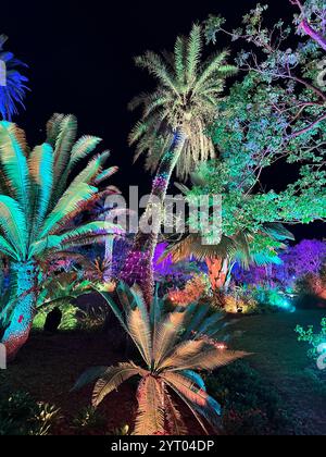 Neapel, Usa. Dezember 2024. Johnsonville Night Lights in the Garden, veranstaltet im Naples Botanical Garden in Naples, Florida, Mittwoch, 4. Dezember 2024. Quelle: Jennifer Graylock/Alamy Live News Stockfoto