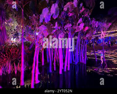 Neapel, Usa. Dezember 2024. Johnsonville Night Lights in the Garden, veranstaltet im Naples Botanical Garden in Naples, Florida, Mittwoch, 4. Dezember 2024. Quelle: Jennifer Graylock/Alamy Live News Stockfoto