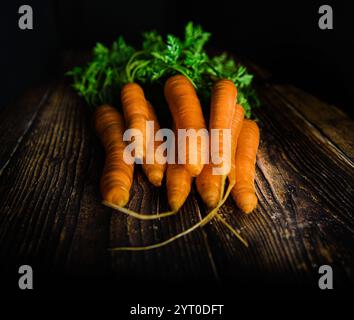 Stadt Stadt Land Datum Monat Jahr Stockfoto