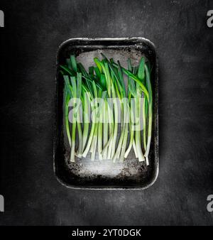 Stadt Stadt Land Datum Monat Jahr Stockfoto