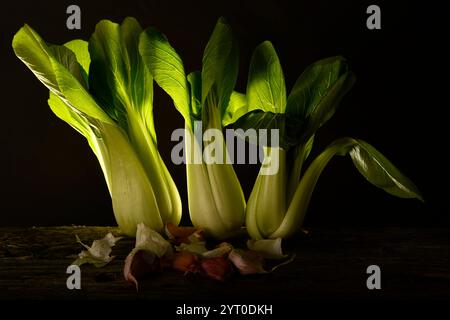Stadt Stadt Land Datum Monat Jahr Stockfoto