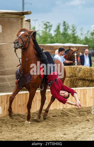 Death Drag Stunt. Trickreiten auf einem galoppierenden Pferd auf dem Etnospor Kultur Festivali. Istanbul - 11. Mai 2018 Stockfoto