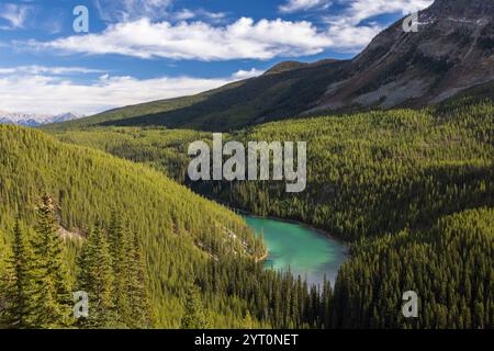 Vista Lake und Kiefernwälder, Banff National Park, Alberta, Kanada. Herbst (Oktober) 2024. Stockfoto