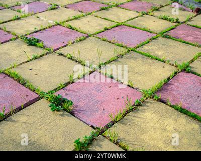 Nähte zwischen Pflasterplatten, die mit Gras bewachsen sind Stockfoto