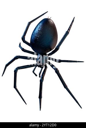 3D-Rendering einer schwarzen Witwenspinne oder eines Latrodectus oder einer echten Witwe auf weißem Hintergrund Stockfoto