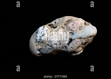 Konglomeratbildung mit Kieselsteinen und Brekzien in Sand, Schlamm und Lehm von einem Strand im Ontario-See. Dasselbe Gestein unter UV: 2YT2XFD Stockfoto