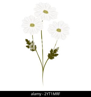 Ein Blumenstrauß aus Chamomiles, ein Element des Designs. Stock Vektor