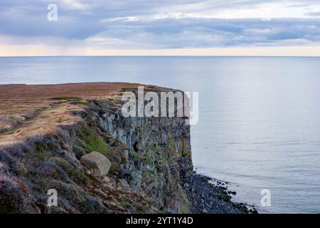 Felsige vertikale Klippe bedeckt mit Moos an der Nordküste Islands mit Blick auf den Fjord Skjalfandi (Skjalfandafloi). Stockfoto