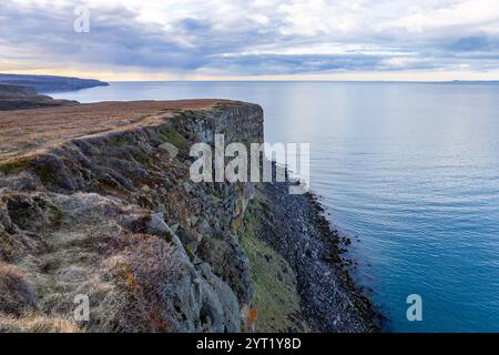 Felsige vertikale Klippe bedeckt mit Moos an der Nordküste Islands mit Blick auf den Fjord Skjalfandi (Skjalfandafloi). Stockfoto