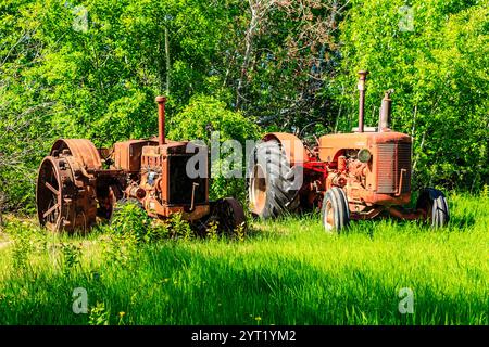 Zwei alte Traktoren sitzen auf einem grasbewachsenen Feld. Die Traktoren sind rostig und scheinen verlassen zu werden Stockfoto