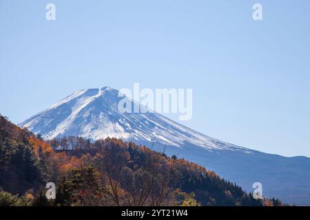 Blick auf den Fuji vom Ufer des Kawaguchi-Sees in der Präfektur Yamanashi, Japan Stockfoto