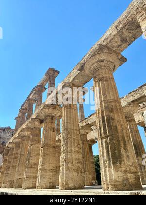 Nahaufnahme der antiken griechischen Säulen im Hera-Tempel in Paestum, Italien Stockfoto