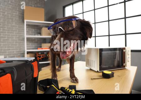 Niedlicher Hund mit Reparaturwerkzeugen und Mikrowelle auf dem Tisch in der Werkstatt Stockfoto