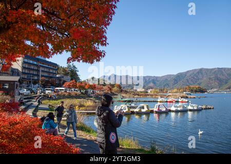 Schwanenboote auf dem Kawaguchi-See (Fujikawaguchiko) während der Herbstsaison. Stockfoto
