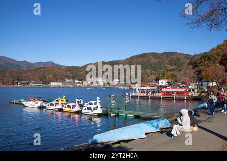 Schwanenboote auf dem Kawaguchi-See (Fujikawaguchiko) während der Herbstsaison. Stockfoto