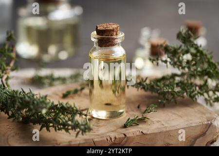 Ätherisches Thymianöl in einer durchsichtigen Glasflasche Stockfoto