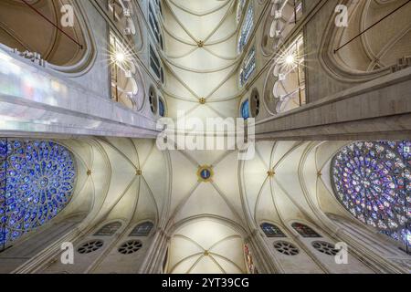 Paris, Frankreich. November 2024 30. Dieses Foto zeigt die Innenansicht der Kathedrale Notre-Dame vor ihrer Wiedereröffnung in Paris, Frankreich, am 30. November 2024. Die Wiedereröffnungszeremonien der Kathedrale Notre-Dame, die 2019 durch einen Großbrand beschädigt wurde, finden am 7. Und 8. Dezember statt. Quelle: Julio Piatti/Xinhua/Alamy Live News Stockfoto