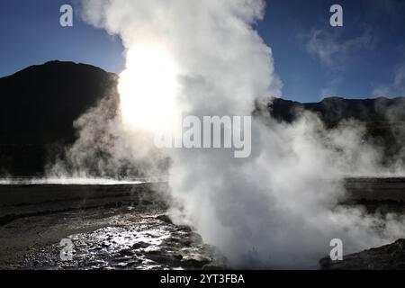 Calama, Chile. März 2024. Die Geysire von El Tatio werden bei Sonnenaufgang im chilenischen altiplano gesehen, 4.280 Meter über dem Meeresspiegel. Mit fast 80 aktiven Geysiren ist El Tatio der größte Geysir in der südlichen Hemisphäre. (Foto: Apolline Guillerot-Malick/SOPA Images/SIPA USA) Credit: SIPA USA/Alamy Live News Stockfoto