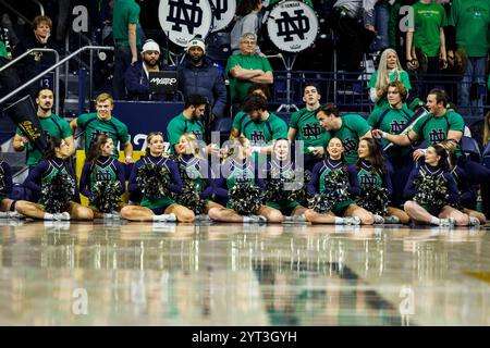 South Bend, Indiana, USA. Dezember 2024. Im Purcell Pavilion im Joyce Center in South Bend, Indiana, finden die Cheerleader von Notre Dame während des NCAA Women's Basketball-Spiels zwischen den Texas Longhorns und den Notre Dame Fighting Irish statt. John Mersits/CSM/Alamy Live News Stockfoto