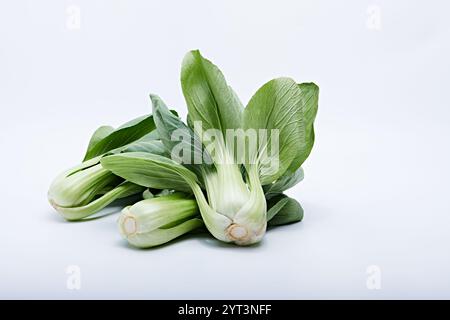 pak Choy gesundes Gemüse im Foto auf weißem Hintergrund und Basis Stockfoto