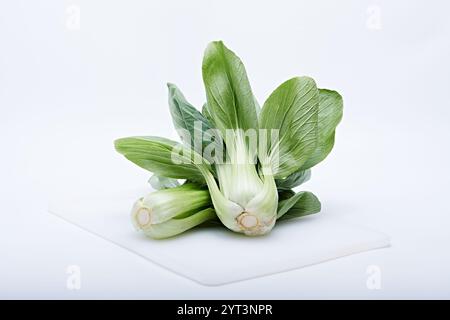 pak Choy gesundes Gemüse im Foto auf weißem Hintergrund und Basis Stockfoto