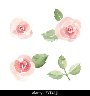 Set rosafarbene Rosen und Blätter. Einfache Skizze, minimalistischer Stil. Aquarell abstrakte handgezeichnete Blumenillustration isoliert auf einem weißen Hintergrund Stockfoto