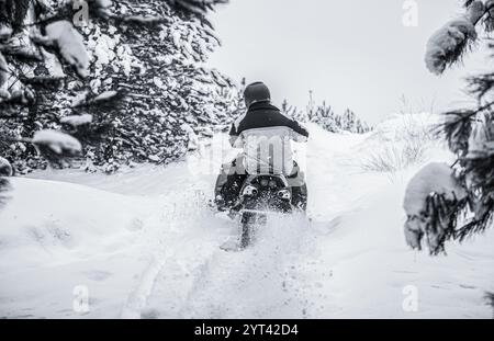 Der Mensch fährt Schneemobil in einem Bergwald. Athlet fährt mit einem Schneemobil in den Bergen. Schneemobil. Schwarz-weiß Stockfoto