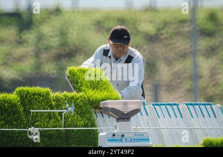 Landwirt mit Reisanbaumaschine Stockfoto