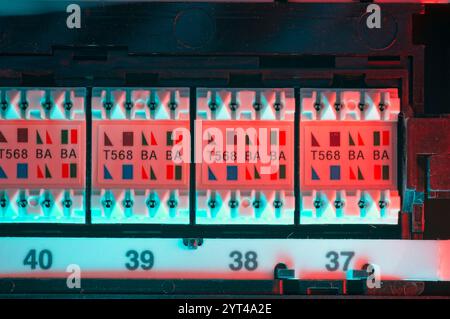 Rückseite des Netzwerk-Patch-Panels mit blauer und roter Färbung Stockfoto