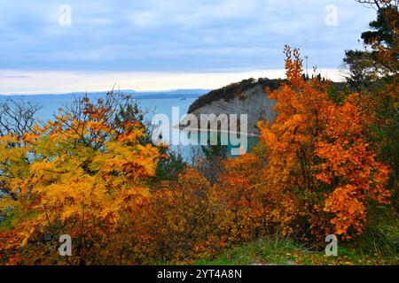 Flyschklippe an der Mondbucht von Strunjan in Istrien, Region Littoral, Slowenien an der Adriaküste im Herbst Stockfoto