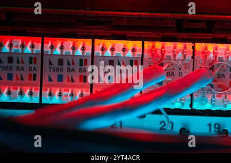 Netzwerk-Patch-Panel von hinten mit zwei gestanzten Kabeln Stockfoto