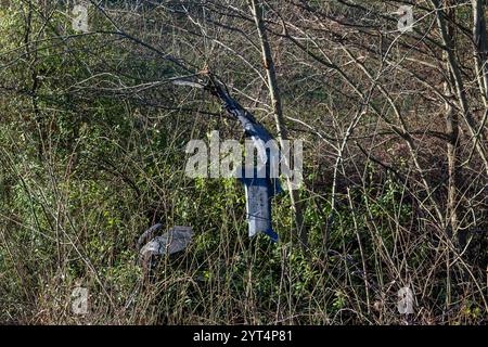 A9/Leipzig - auf der Fahrt in den Ski-Urlaub: BMW kommt von Fahrbahn ab und fliegt in Acker - 2 Schwerverletzte 30.11.2024 gegen 9,15 Uhr A9 Richtung München, zwischen AS Großkugel und AS Leipzig-West zu einem schweren Unfall kam es am Samstagvormittag auf der A9 im Leipziger Westen. Nach ersten Angaben der Polizei war der Fahrer eines BMW auf der A9 in Richtung München unterwegs, als er aus bislang ungeklärter Ursache zwischen den Anschlussstellen Großkugel und Leipzig-West nach rechts von der Fahrbahn abkam. Dort durchbrach er mit voller Geschwindigkeit zunächst eine Leitplanke, flog durch B Stockfoto
