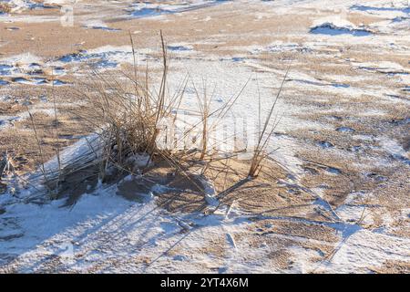 Blick auf den Winter Strand, Küste der Ostsee, natürliches Winterhintergrund Foto. Der Finnische Golf an einem sonnigen Tag im Dezember Stockfoto