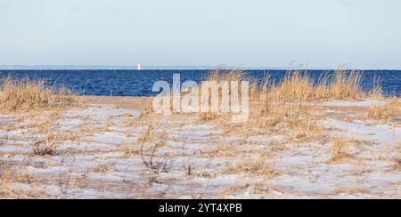 Panorama-Winterstrand mit Sand und trockenem Gras, Küste des Finnischen Golfs an einem sonnigen Tag im Dezember. Natürliches Winterhintergrundfoto mit se Stockfoto