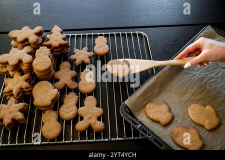 Lebkuchenkekse auf ein Tablett legen Stockfoto