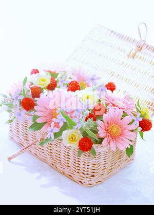 Blumen im Rattankorb Stockfoto