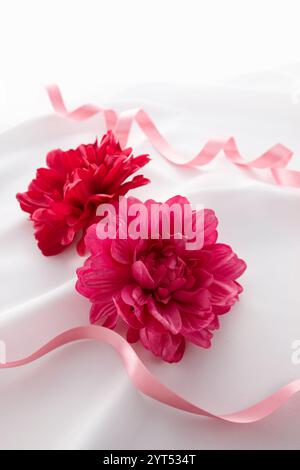 Rote Blume Geschenk-Bild Stockfoto