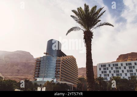 Blick auf die Resortgegend auf das Tote Meer. Die kleine Stadt ein Bokek am israelischen Ufer des Toten Meeres. Palmen und Wolkenkratzer in der Stadt Stockfoto