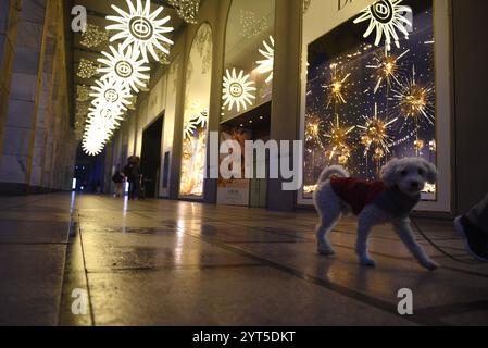 Mailand, Italien. Dezember 2024. Little Dog Walking Amony the Christmas Lights (Foto: © Ervin Shulku/ZUMA Press Wire/Alamy Live News) NUR ZUR REDAKTIONELLEN VERWENDUNG! Nicht für kommerzielle ZWECKE! Stockfoto